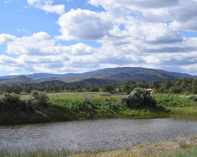 Sandoval County Regina New Mexico (NM) — Real Estate Listings By City