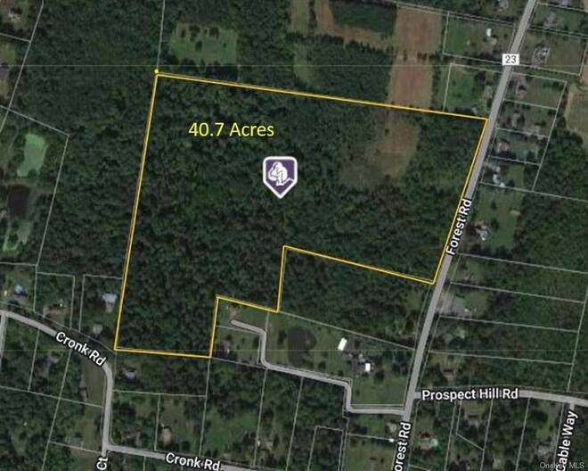 231 Forest Rd, Wallkill, NY 12589 (Off Market NYStateMLS Listing 11087306)
