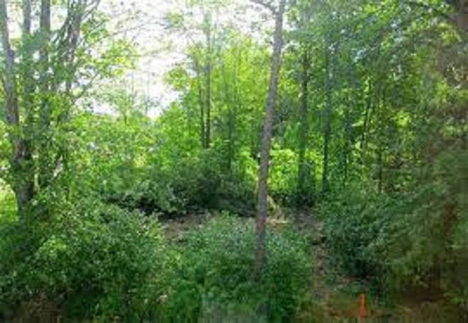 1721 US Route 209 Wurtsboro NY 12790 For Sale NYStateMLS Listing 1721-us-route-209-wurtsboro-ny-12790-for-sale-nystatemls-listing