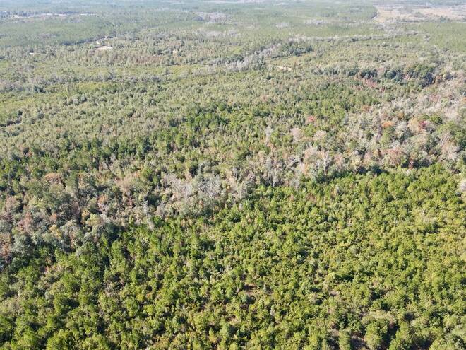 TBD  TBD, Hosford, FL 32334