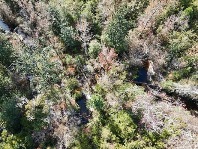 TBD  TBD, Hosford, FL 32334