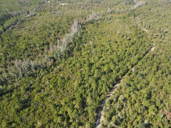 TBD  TBD, Hosford, FL 32334