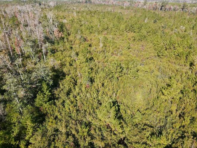 TBD  TBD, Hosford, FL 32334
