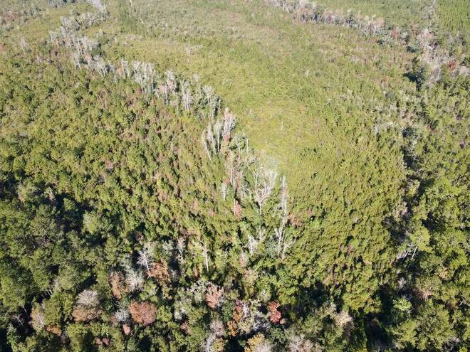 TBD  TBD, Hosford, FL 32334