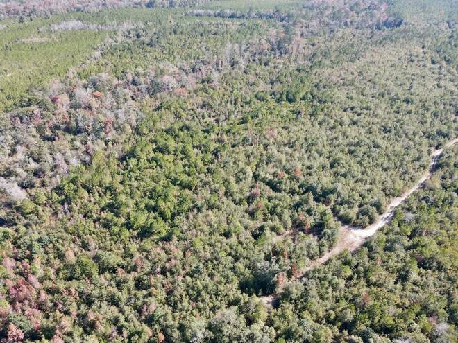 TBD  TBD, Hosford, FL 32334