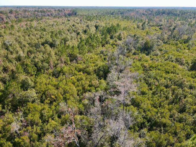 TBD  TBD, Hosford, FL 32334