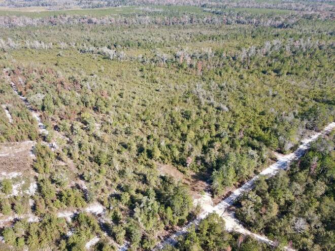 TBD  TBD, Hosford, FL 32334