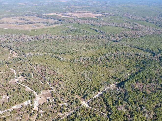 TBD  TBD, Hosford, FL 32334