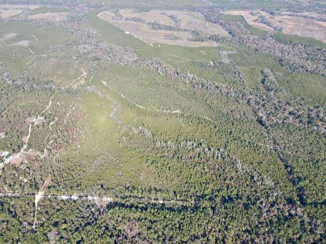 TBD  TBD, Hosford, FL 32334