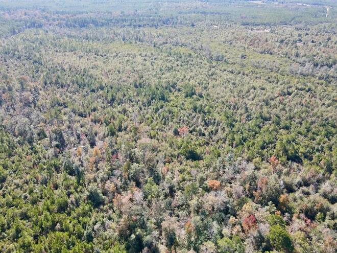 TBD  TBD, Hosford, FL 32334