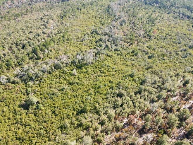 TBD  TBD, Hosford, FL 32334