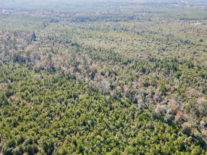 TBD  TBD, Hosford, FL 32334