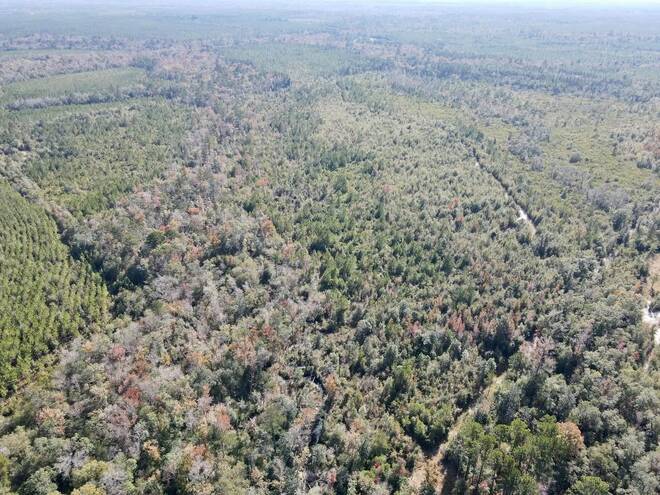 TBD  TBD, Hosford, FL 32334