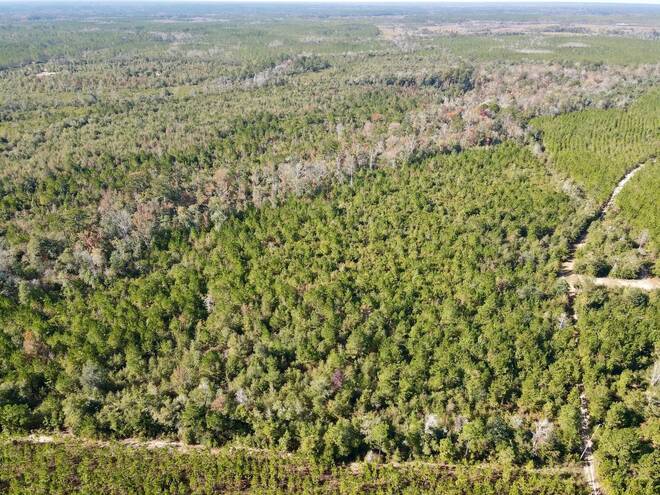 TBD  TBD, Hosford, FL 32334