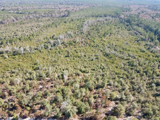 TBD  TBD, Hosford, FL 32334