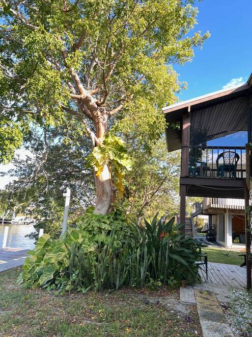 1291 E Chokoloskee Dr, Chokoloskee, FL 34138