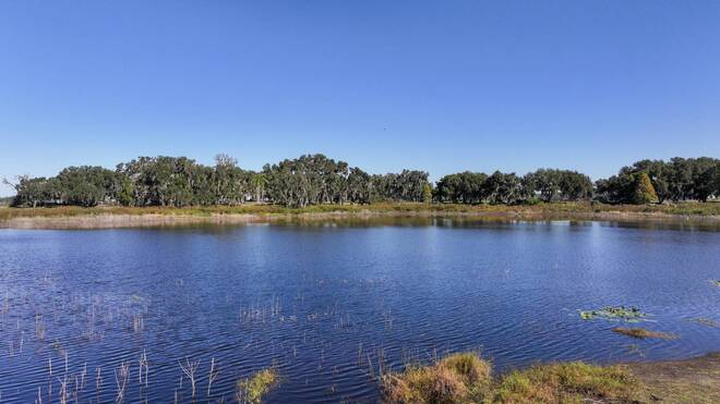36225 Covington Road, Dade City, FL 33525