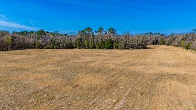 TBD NW County Road 22, Alachua, FL 32615