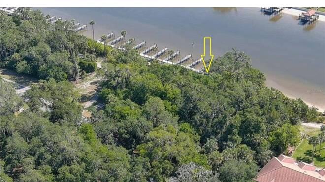 101 PALM HARBOR PARKWAY