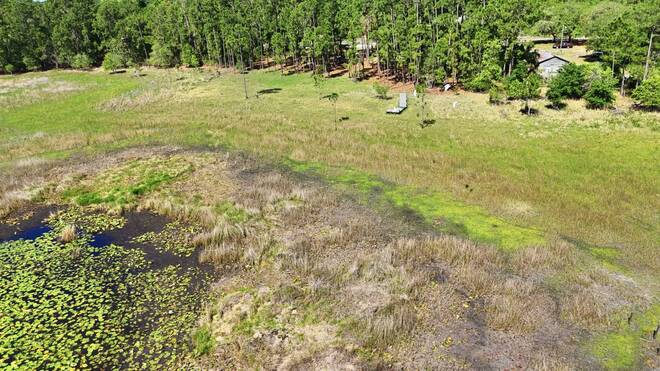 TBD Holly Branch Road, Eustis, FL 32736