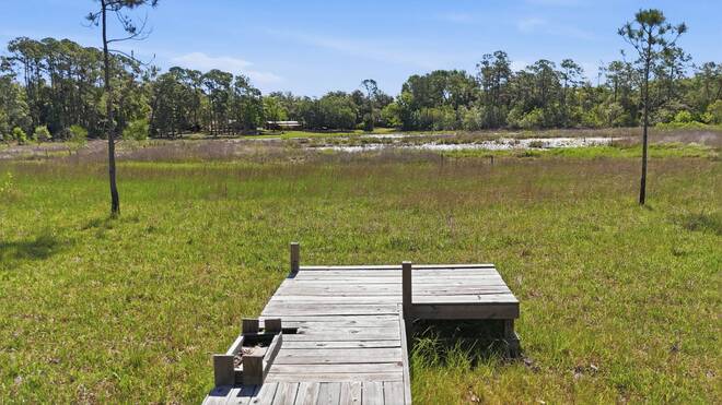 TBD Holly Branch Road, Eustis, FL 32736