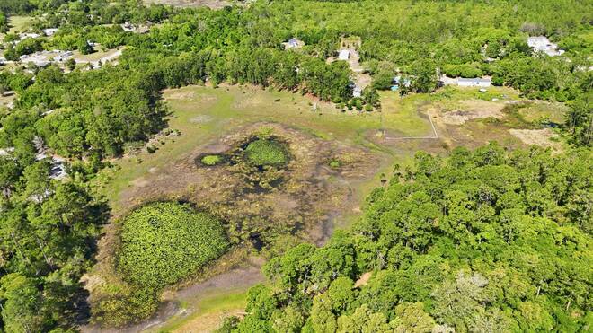 TBD Holly Branch Road, Eustis, FL 32736