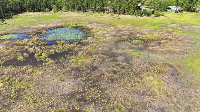 TBD Holly Branch Road, Eustis, FL 32736