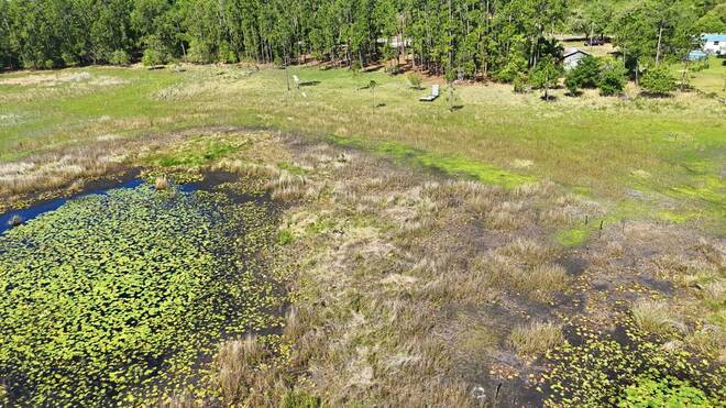 TBD Holly Branch Road, Eustis, FL 32736