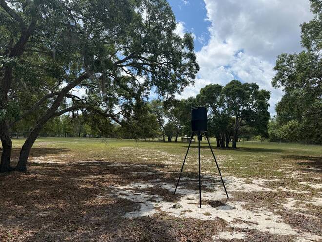 1681 W Cardinal St, Lecanto, FL 34461