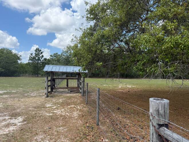 1681 W Cardinal St, Lecanto, FL 34461