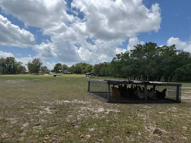 1681 W Cardinal St, Lecanto, FL 34461