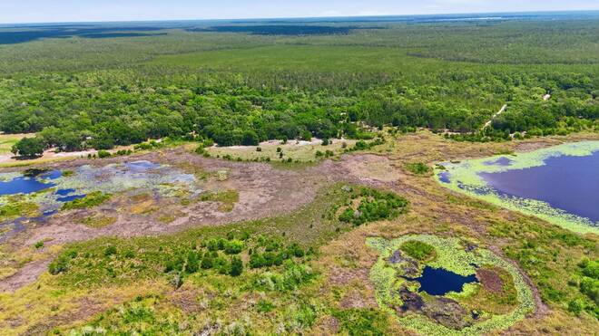 16050 Se 275th Avenue, Umatilla, FL 32784