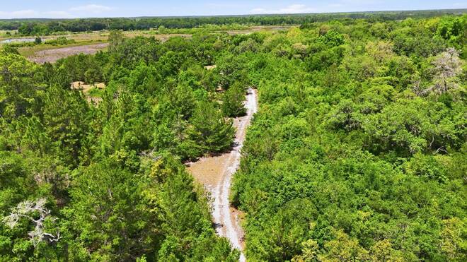 16050 Se 275th Avenue, Umatilla, FL 32784
