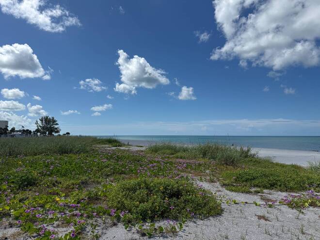 500 Park Blvd S, Unit 99, Venice, FL 34285