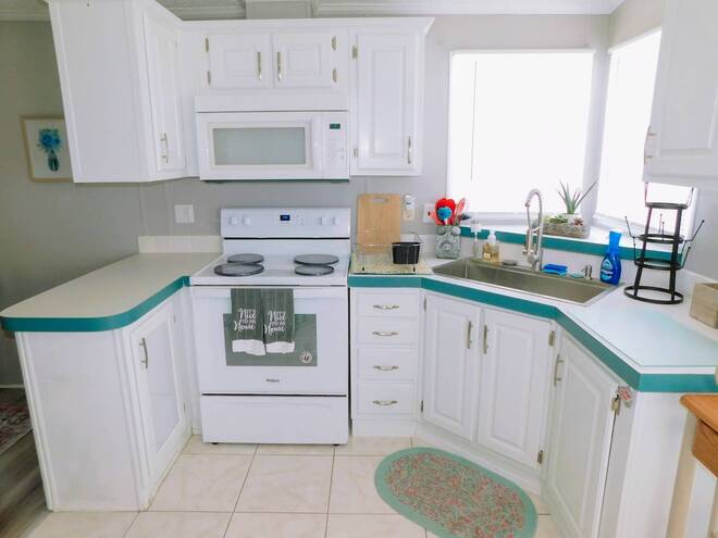 41219 Hockey Drive, #80, Zephyrhills, FL 33540