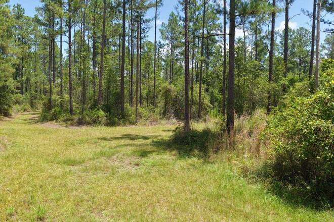 1404 SW Pacific Drive, Lot #110, Greenville, FL 32331