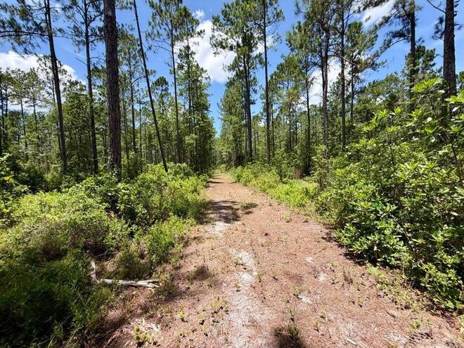 1404 SW Pacific Drive, Lot #110, Greenville, FL 32331