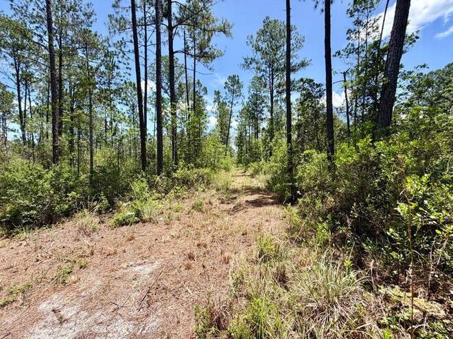 1404 SW Pacific Drive, Lot #110, Greenville, FL 32331