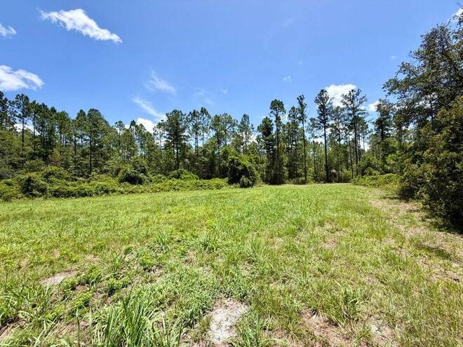 1404 SW Pacific Drive, Lot #110, Greenville, FL 32331