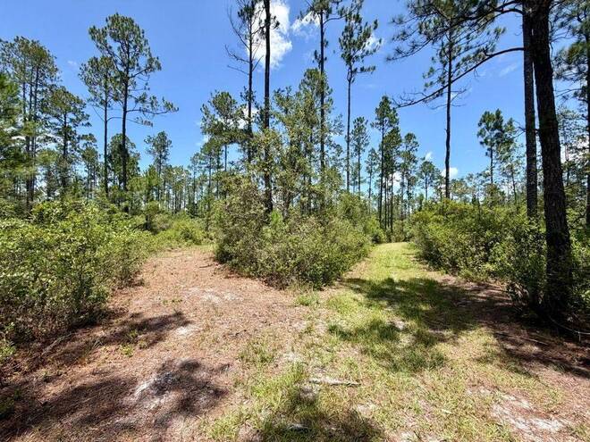 1404 SW Pacific Drive, Lot #110, Greenville, FL 32331