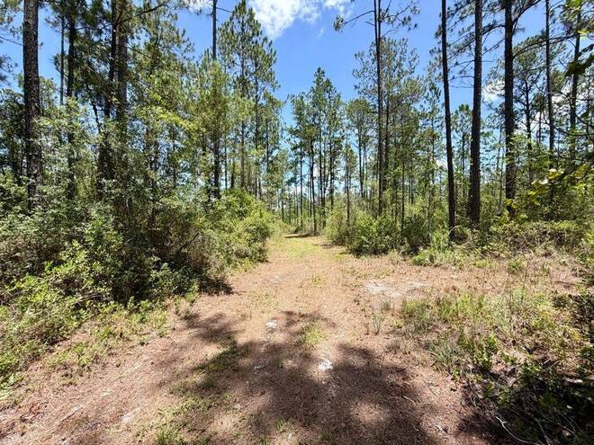 1404 SW Pacific Drive, Lot #110, Greenville, FL 32331