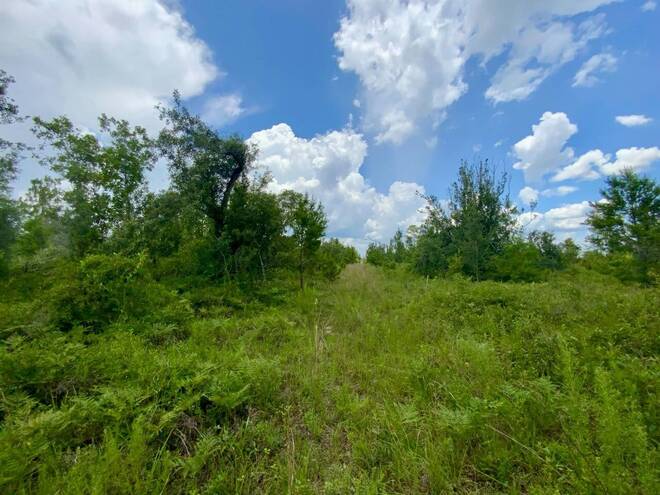 1404 SW Pacific Drive, Lot #110, Greenville, FL 32331