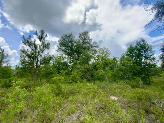 1404 SW Pacific Drive, Lot #110, Greenville, FL 32331