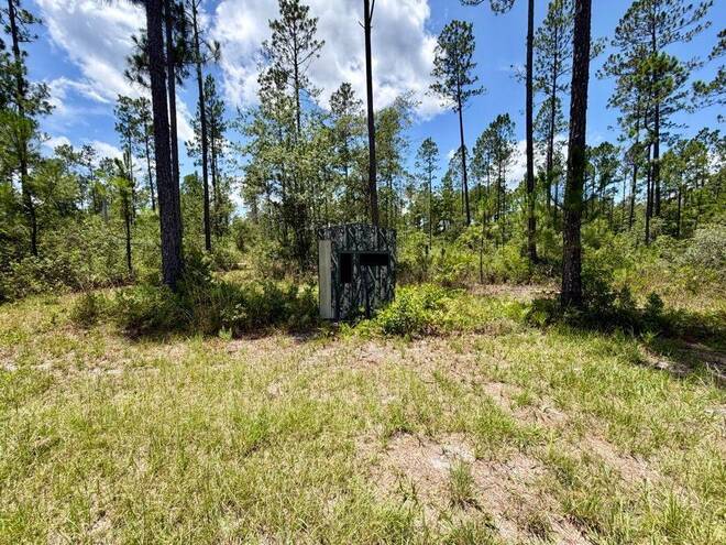 1404 SW Pacific Drive, Lot #110, Greenville, FL 32331