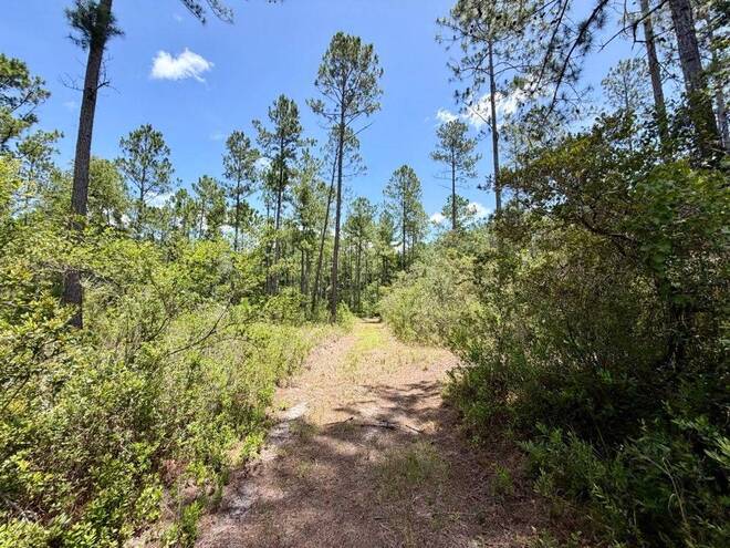 1404 SW Pacific Drive, Lot #110, Greenville, FL 32331
