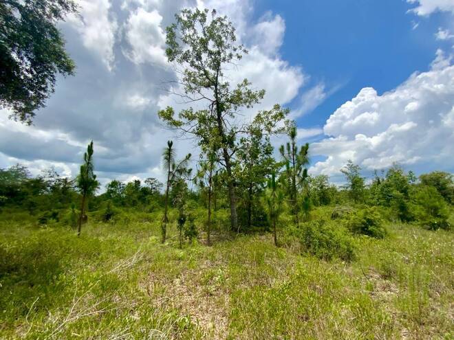 1404 SW Pacific Drive, Lot #110, Greenville, FL 32331