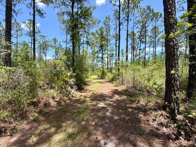 1404 SW Pacific Drive, Lot #110, Greenville, FL 32331