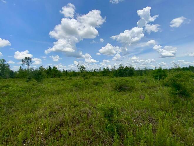 1404 SW Pacific Drive, Lot #110, Greenville, FL 32331