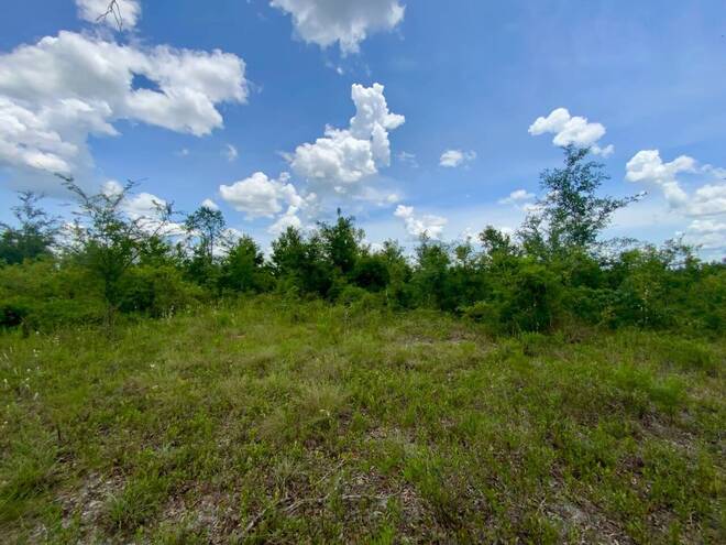 1404 SW Pacific Drive, Lot #110, Greenville, FL 32331