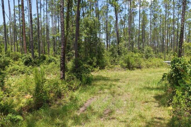 1404 SW Pacific Drive, Lot #110, Greenville, FL 32331